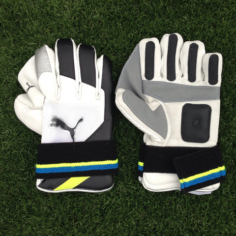 Puma Pulse Indoor WK Gloves