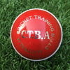 CTBA Coaching Aid Red/White Balls