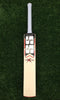 SS Maximus Cricket Bat