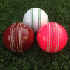 CTBA Training 2 Piece Ball