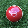 CTBA Junior Plastic Safety Ball