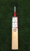 SS Matrix Cricket Bat