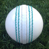 CTBA Junior Plastic Safety Ball