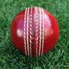 CTBA Training 2 Piece Ball