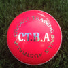 CTBA Training 2 Piece Ball