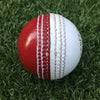 CTBA Coaching Aid Red/White Balls