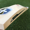 Focus "Evo" Cricket Bat