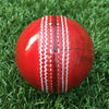 CTBA Training 4 Piece Ball