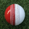 CTBA Coaching Aid Red/White Balls