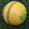 CTBA Indoor Match Cricket Ball