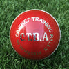 CTBA Coaching Aid Red/White Balls